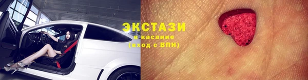 ECSTASY Алзамай