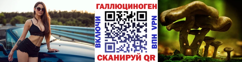 дарнет шоп OMG зеркало Галлюциногенные грибы ЛСД Белореченск