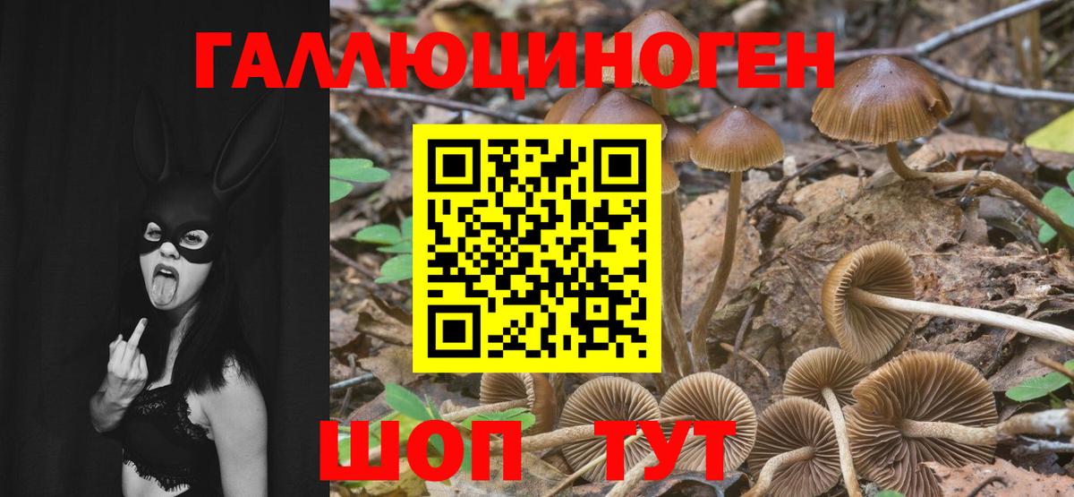 Белореченск  Псилоцибиновые грибы Cubensis  Вход с VPN  Псилоцибиновые грибы MAGIC MUSHROOMS 