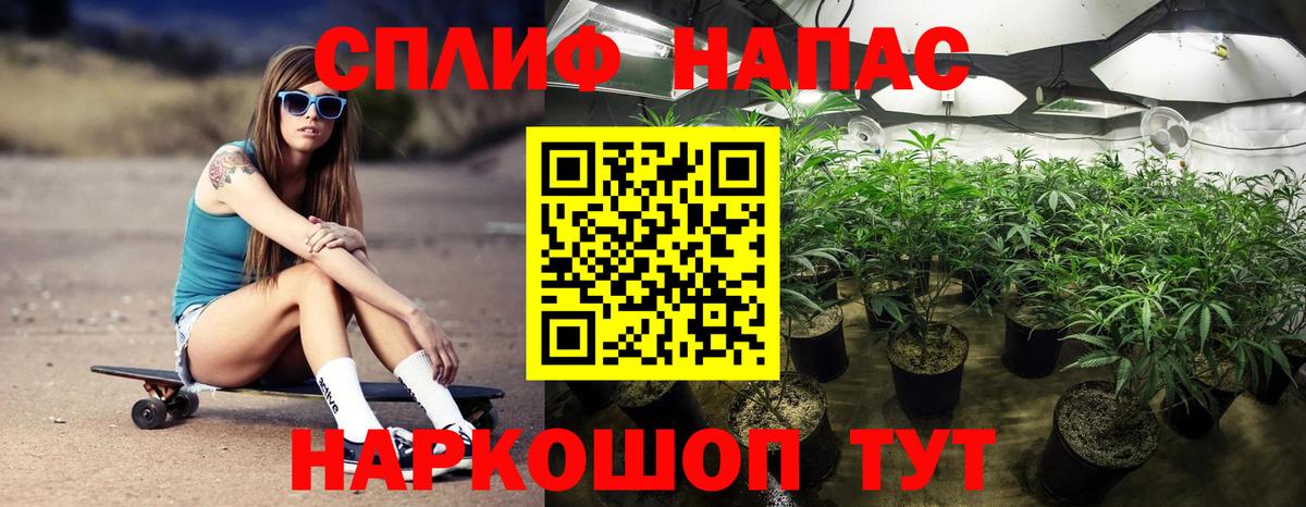 Шишки марихуана план  Марихуана Bruce Banner  Вход с VPN  Белореченск 